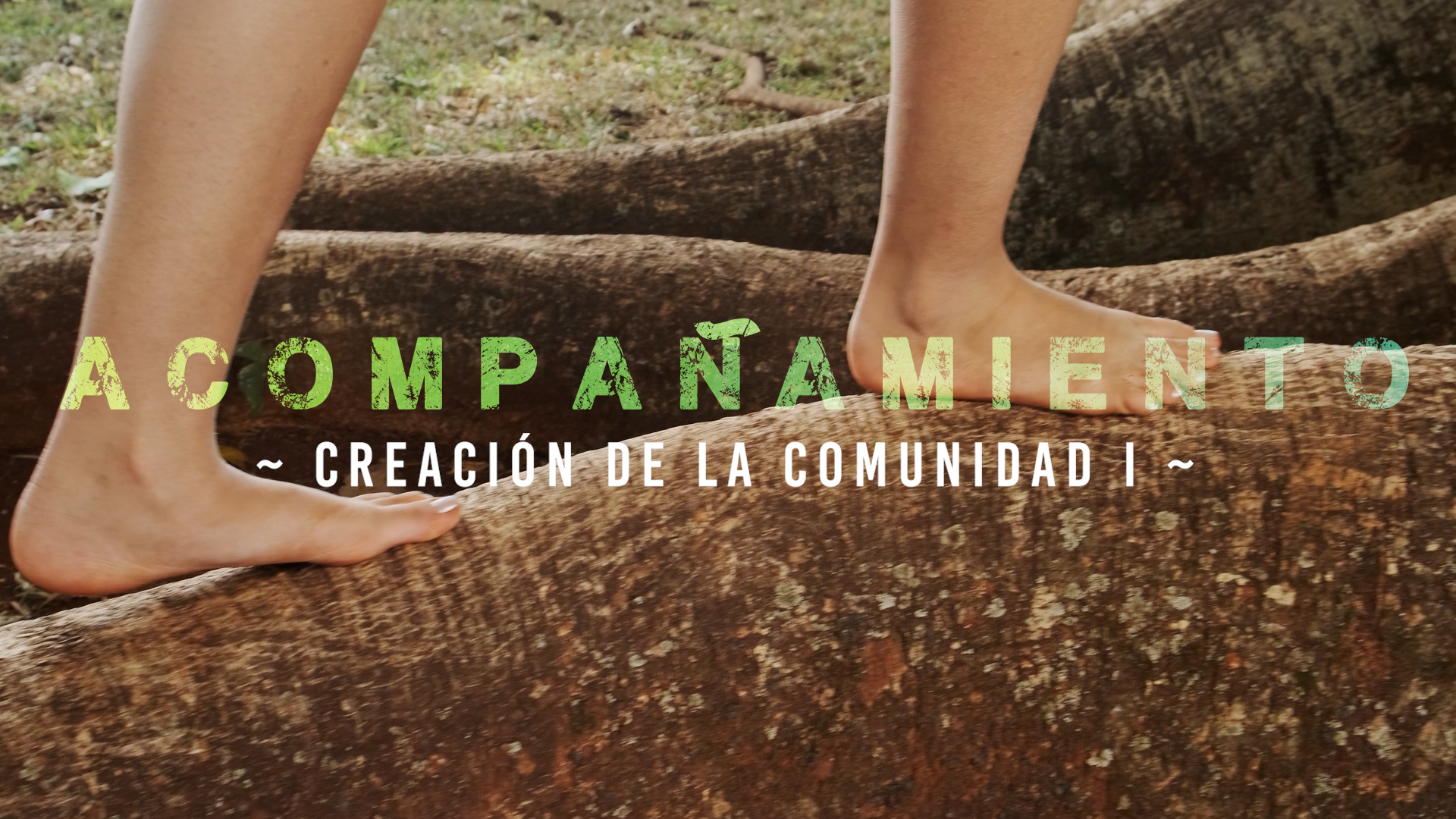 Acompañamiento – Creación [8]