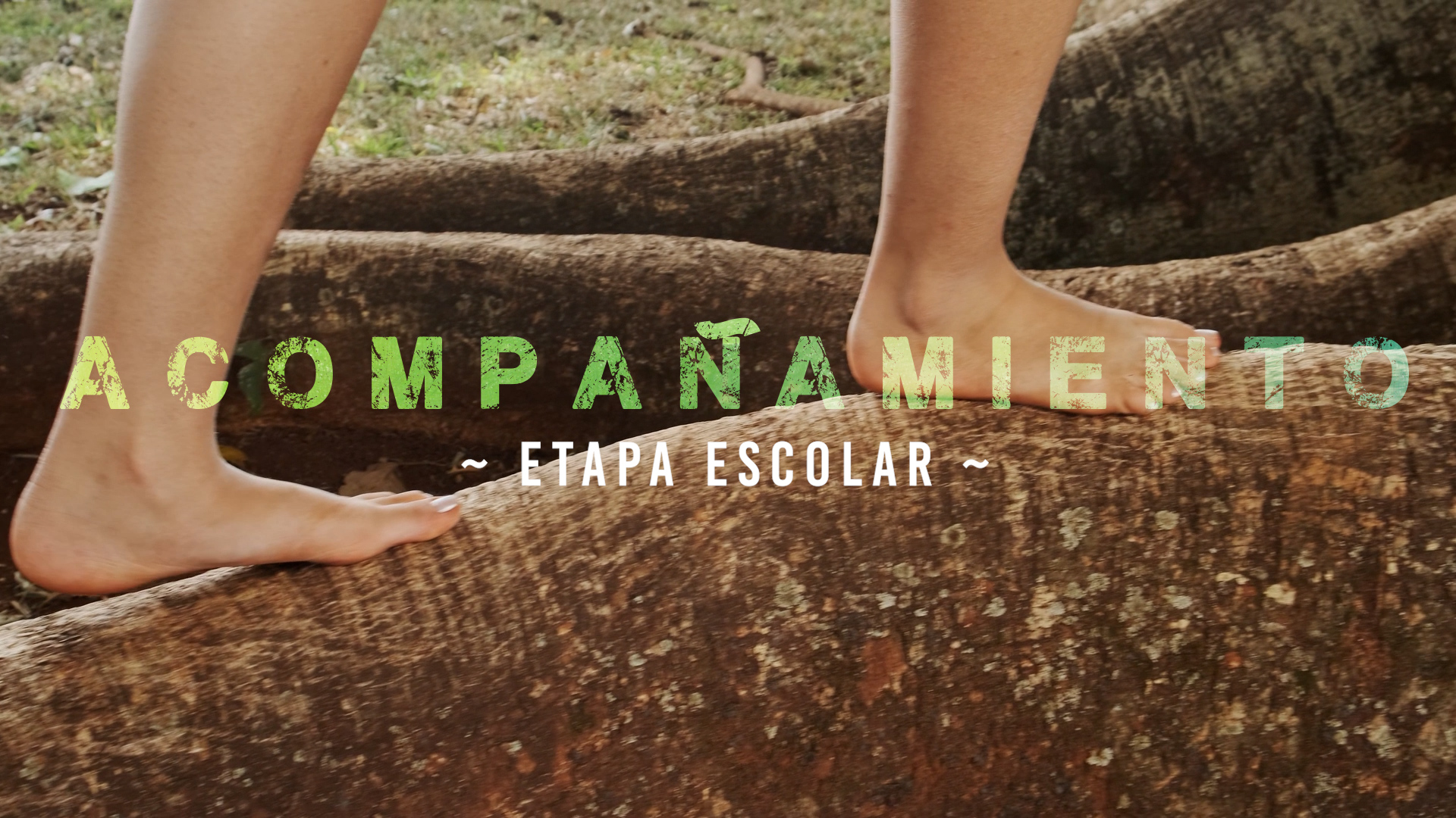 Acompañamiento – Escolar [2]
