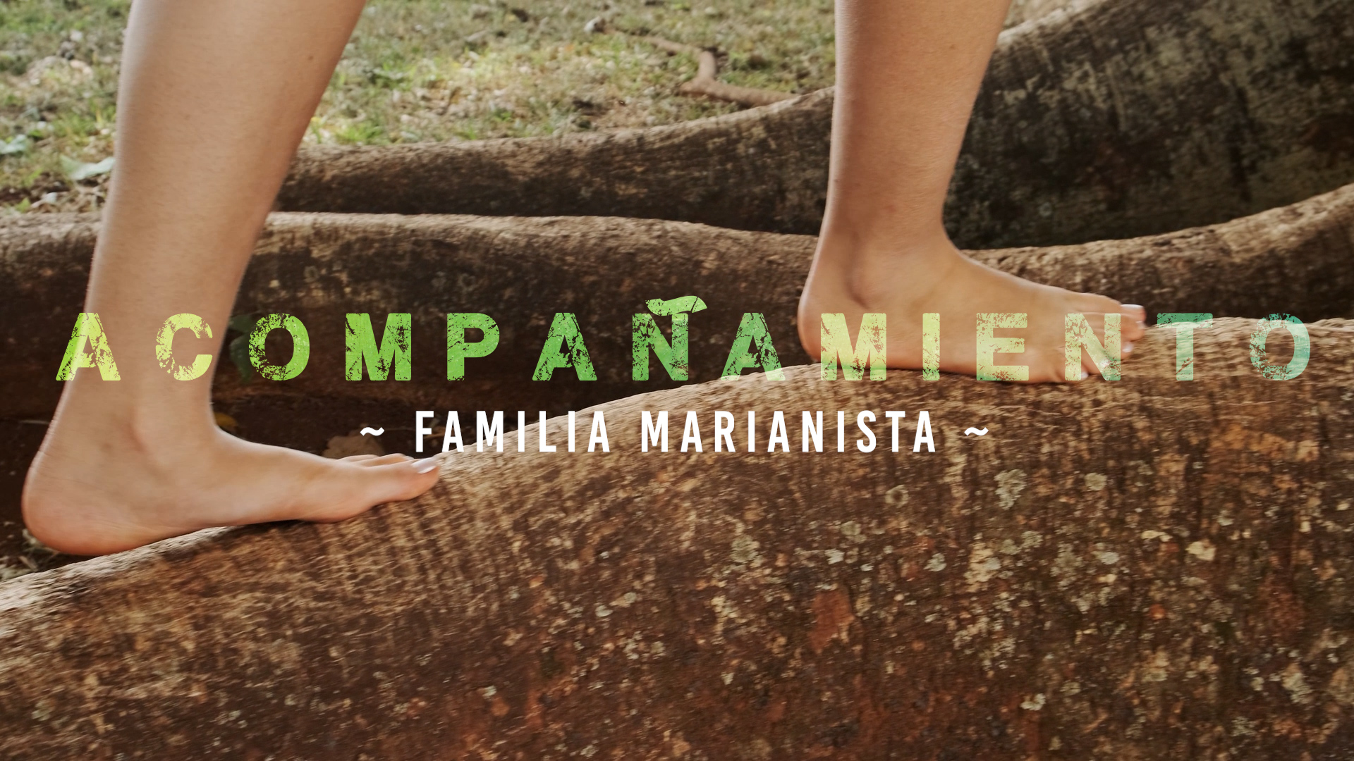 Acompañamiento – Familia [1]