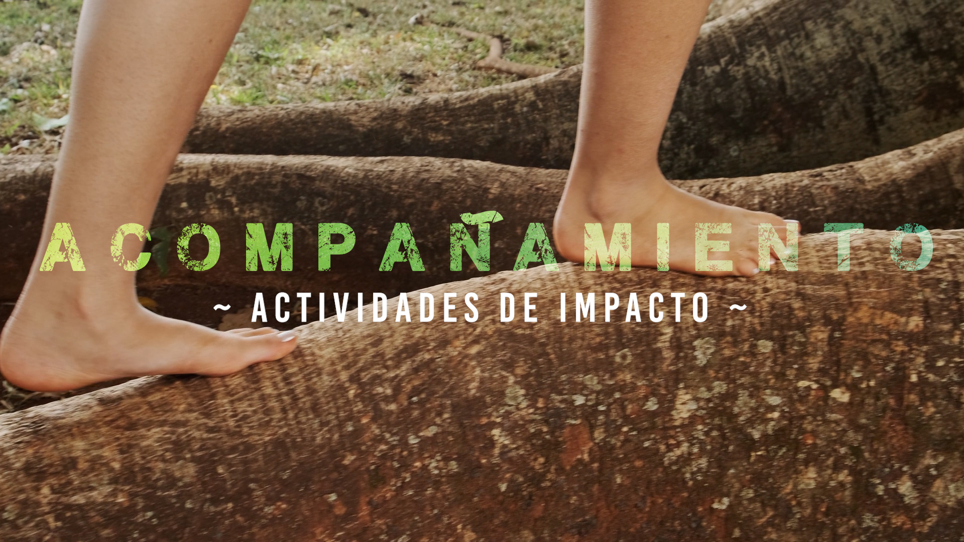 Acompañamiento – Impacto [1]