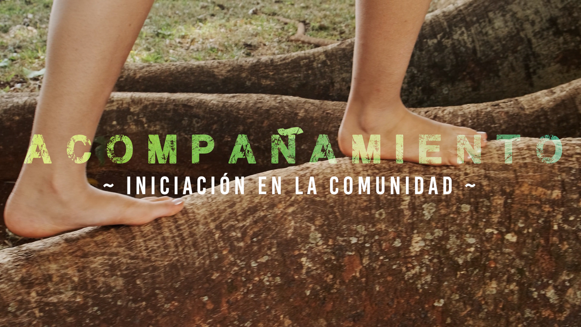 Acompañamiento – Iniciación [5]