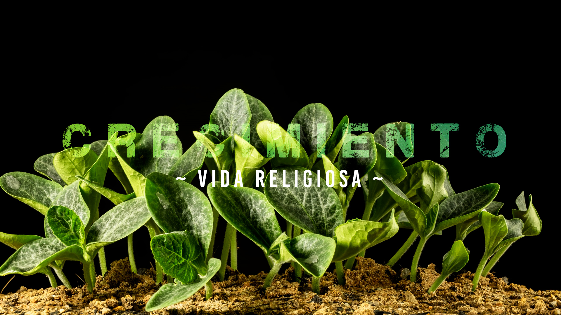 Crecimiento – VR [3]