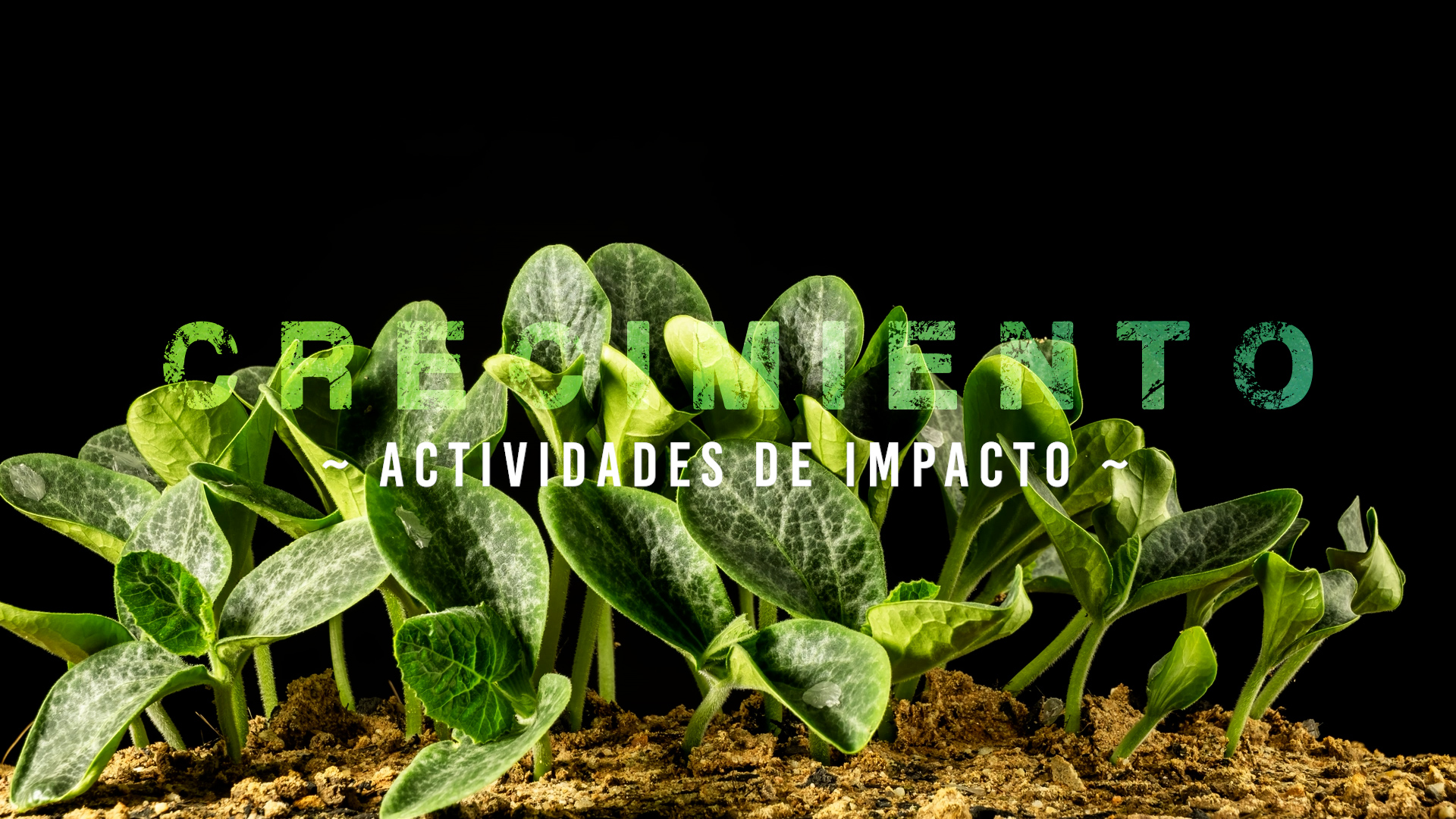 Crecimiento – Impacto [1]