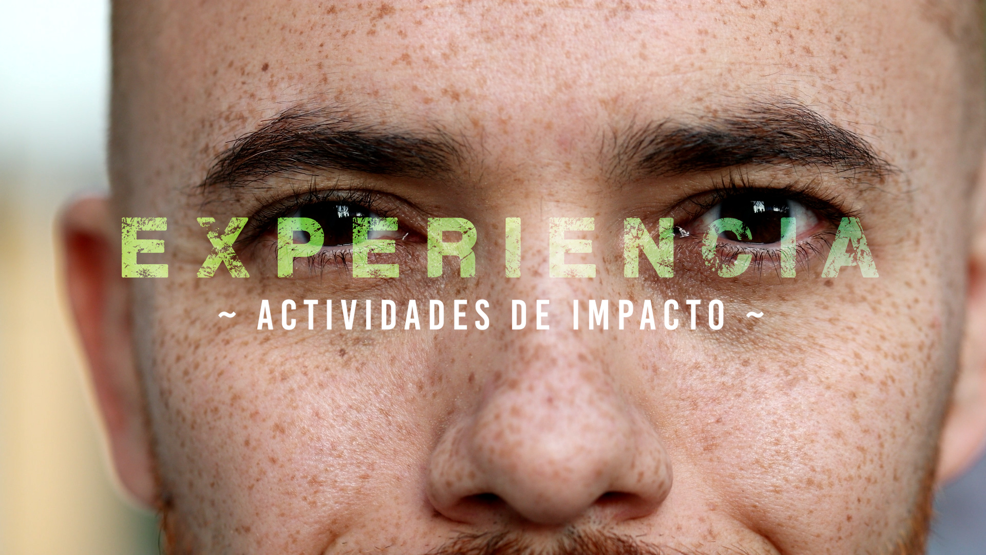 Experiencia – Impacto [1]