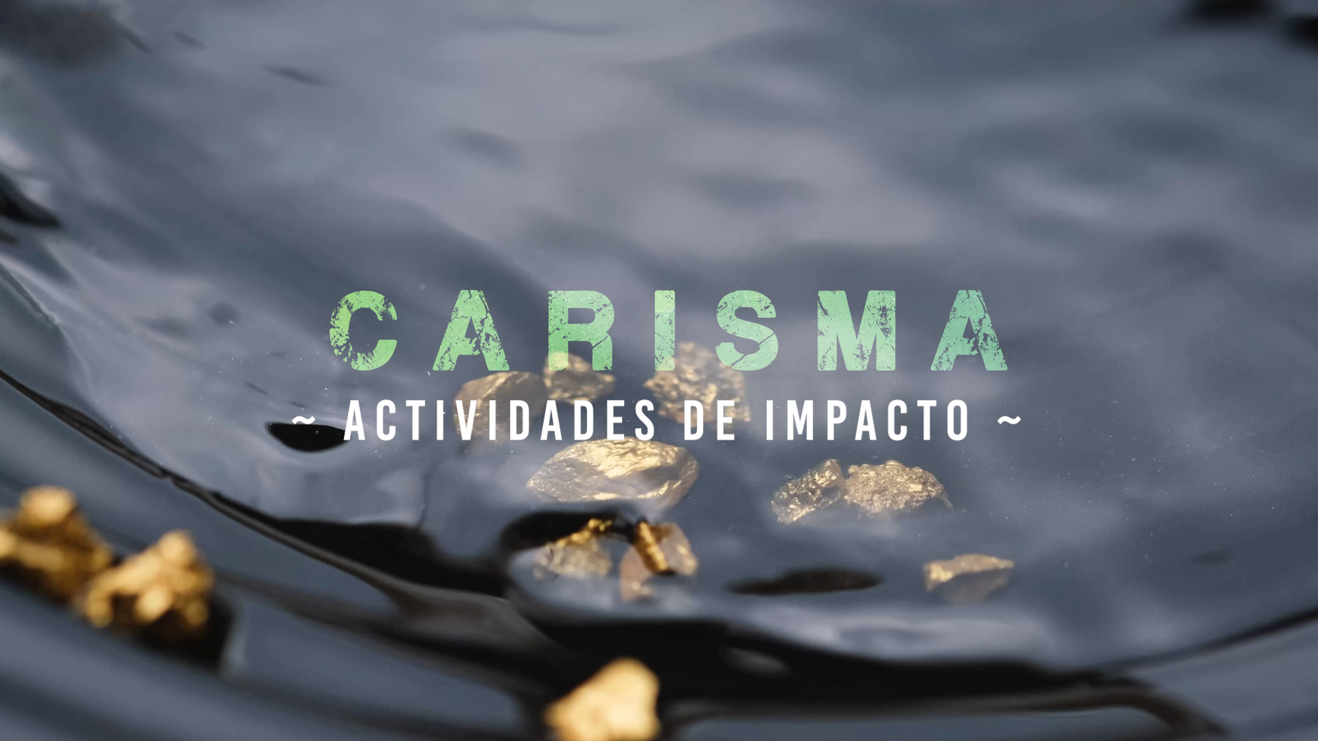 Carisma – Impacto [1]