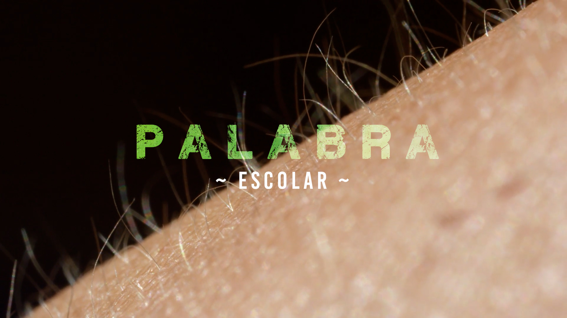 Palabra – Escolar [2]
