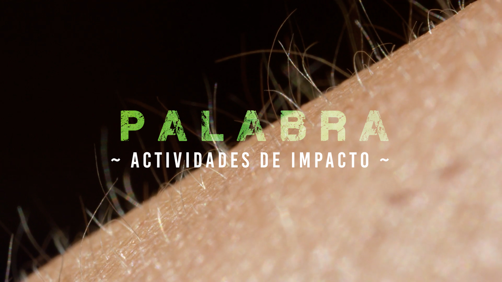 Palabra – Impacto [2]