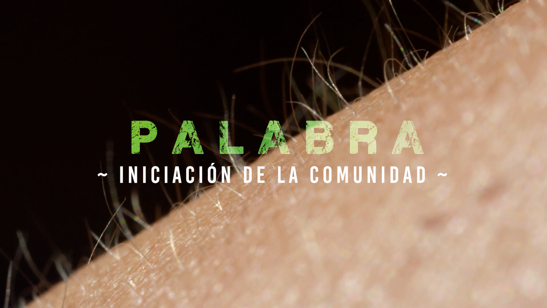 Palabra – Iniciación [3]