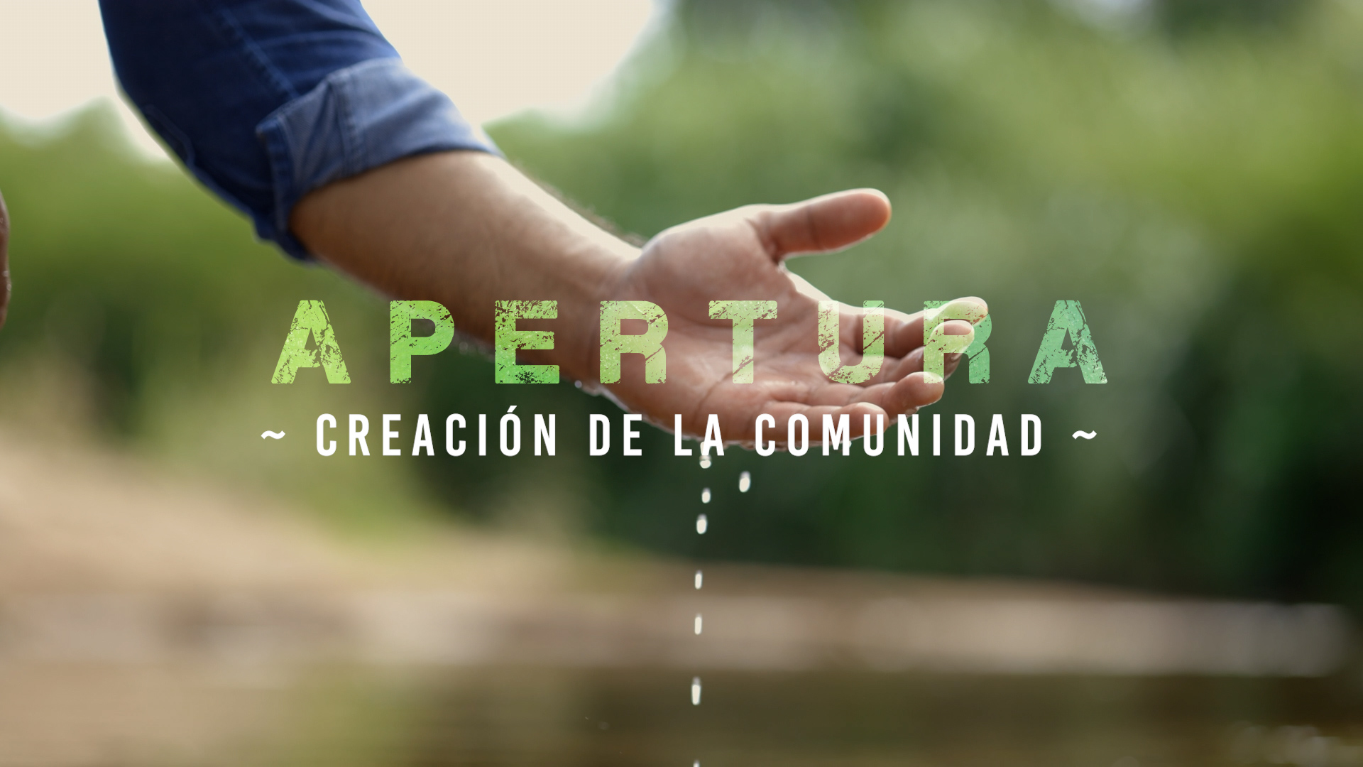 Apertura – Creación [1]
