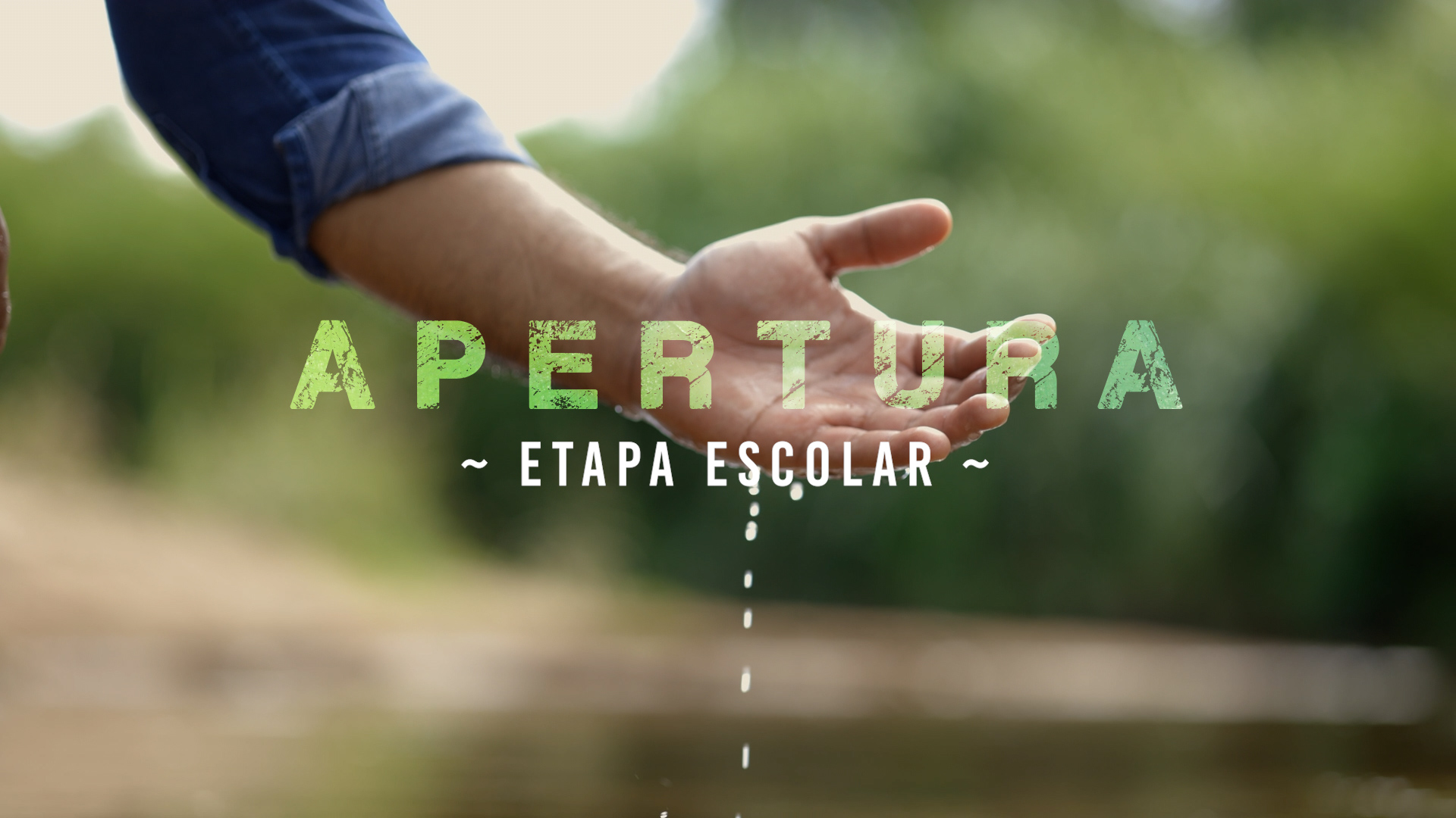 Apertura – Escolar [1]