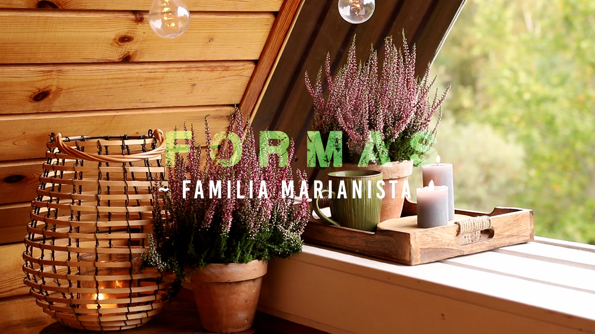 Formas – Familia [1]